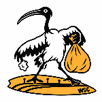 host icon