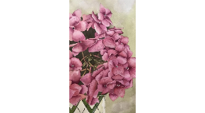 footer_image
