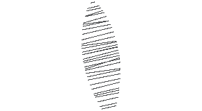 footer_image