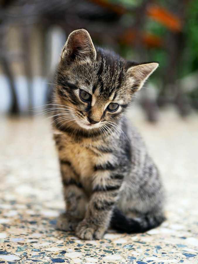footer_image
