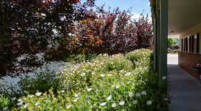footer_image