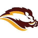 host icon