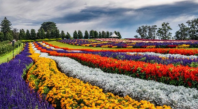 footer_image
