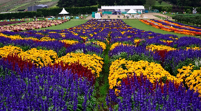 footer_image