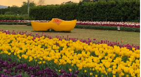 footer_image