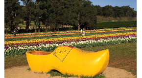footer_image