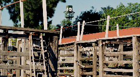 footer_image