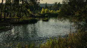 footer_image