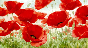 footer_image