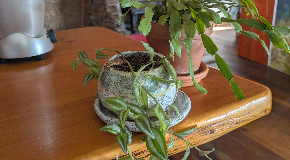 footer_image