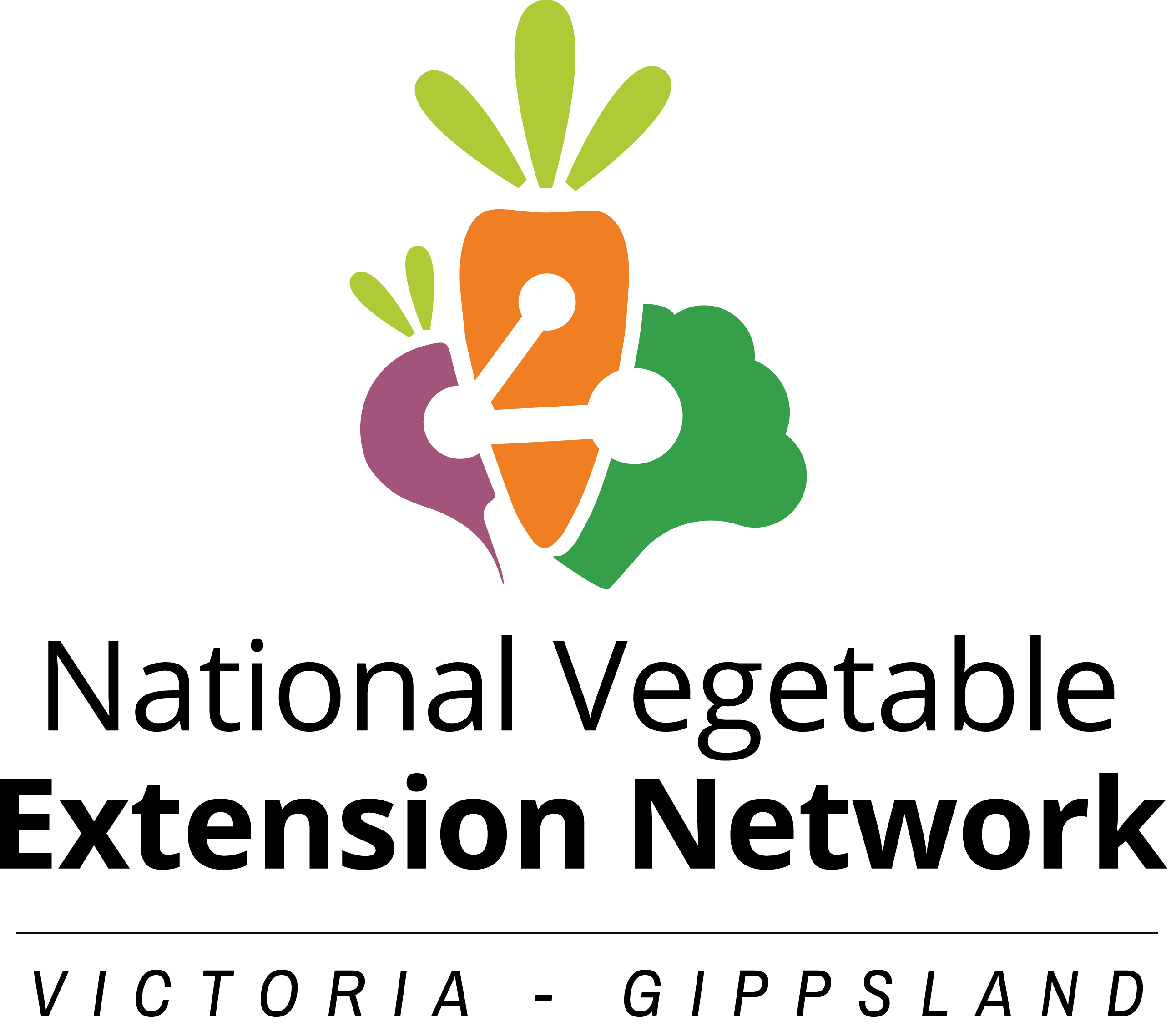 footer_image