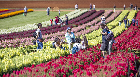 footer_image