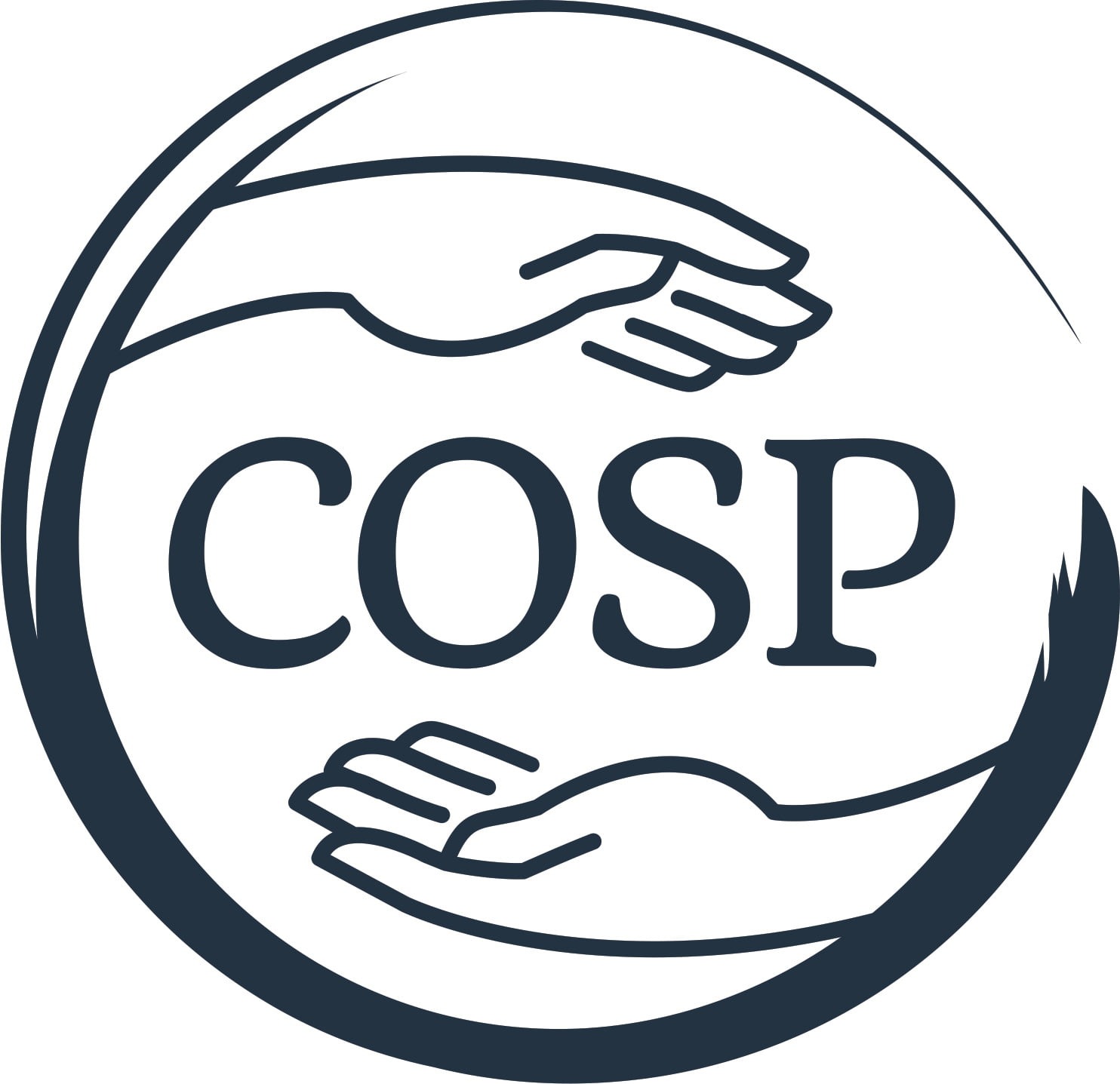 Circle of Security Parenting Training Nurturing Secure Bonds