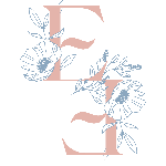 host icon