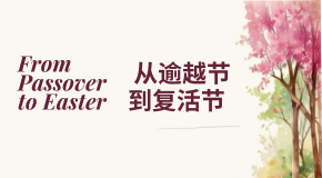 footer_image