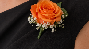 footer_image