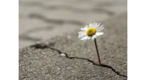 footer_image