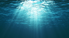 footer_image