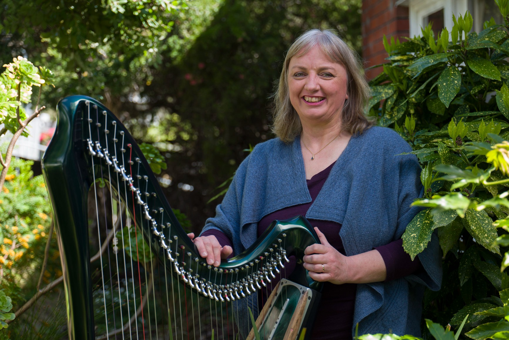 The Harp Zone 23/06/23 Tickets, Hobart Breathing Space, Hobart