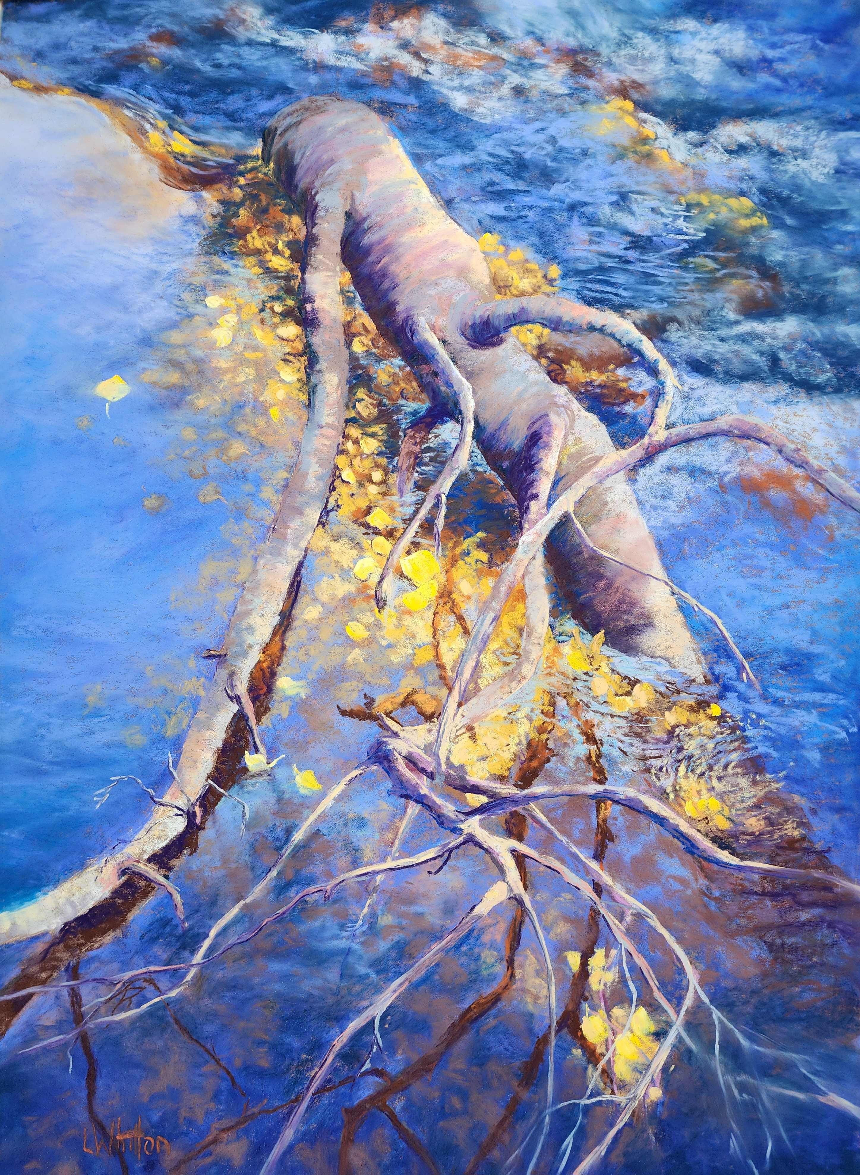 Expressive Pastels with Lindy Whitton Term 4 2026 Fri am