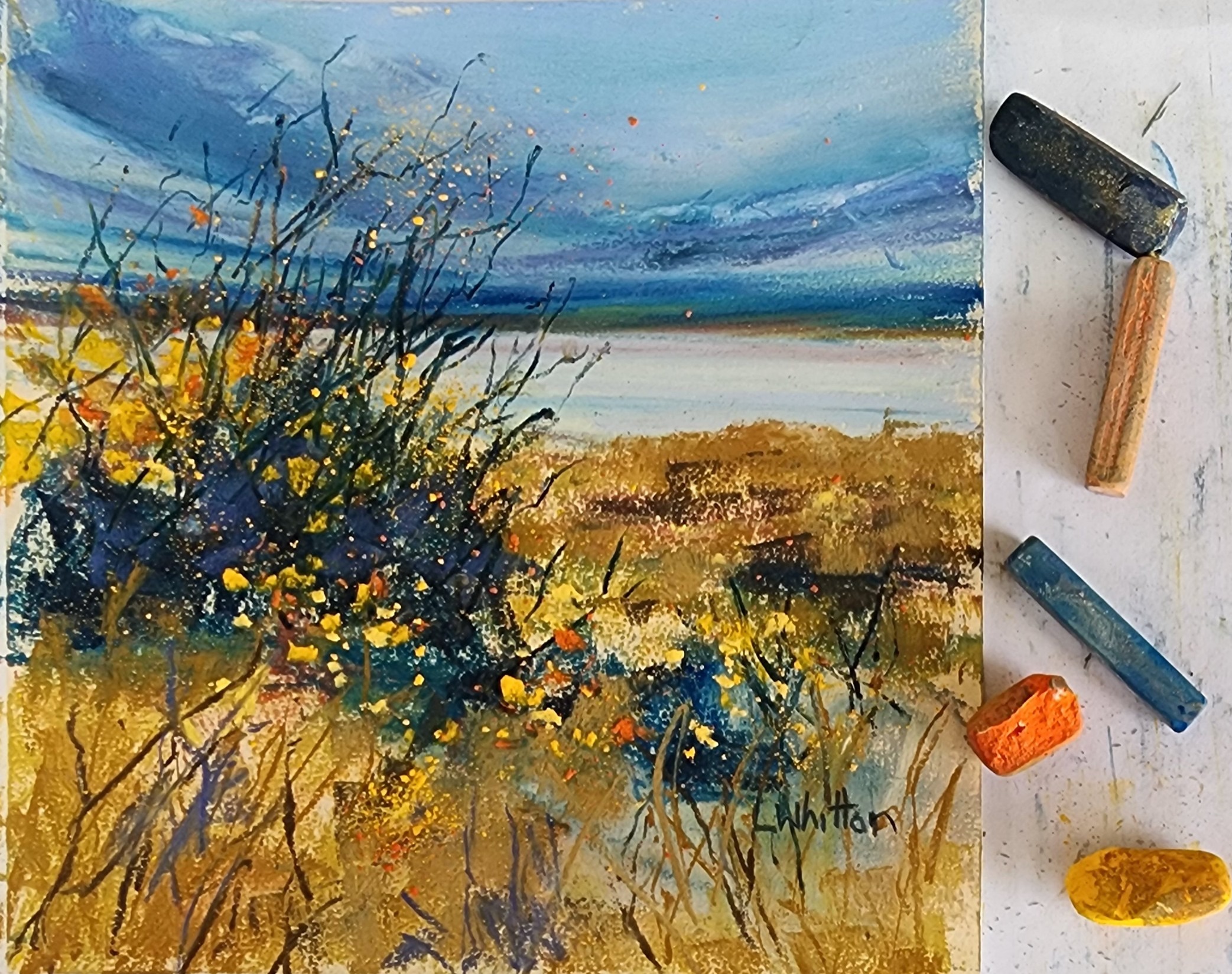 Beginning Pastel Painting with Lindy Whitton Term 4 2026