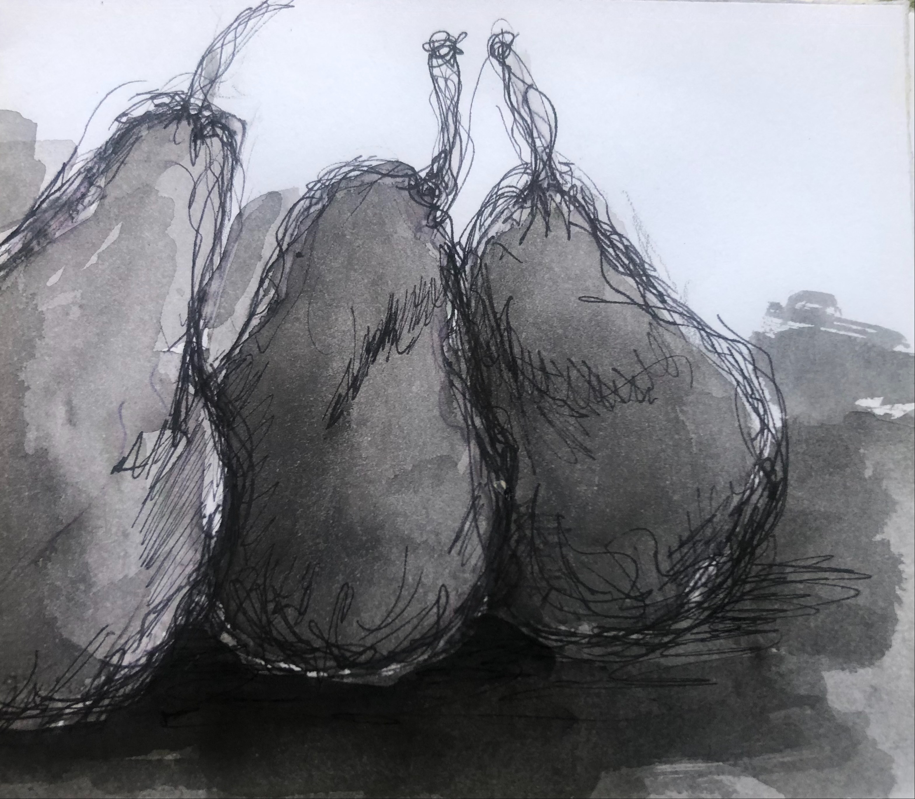 Ways to Draw with Rosie McKeand  Term 4 2026