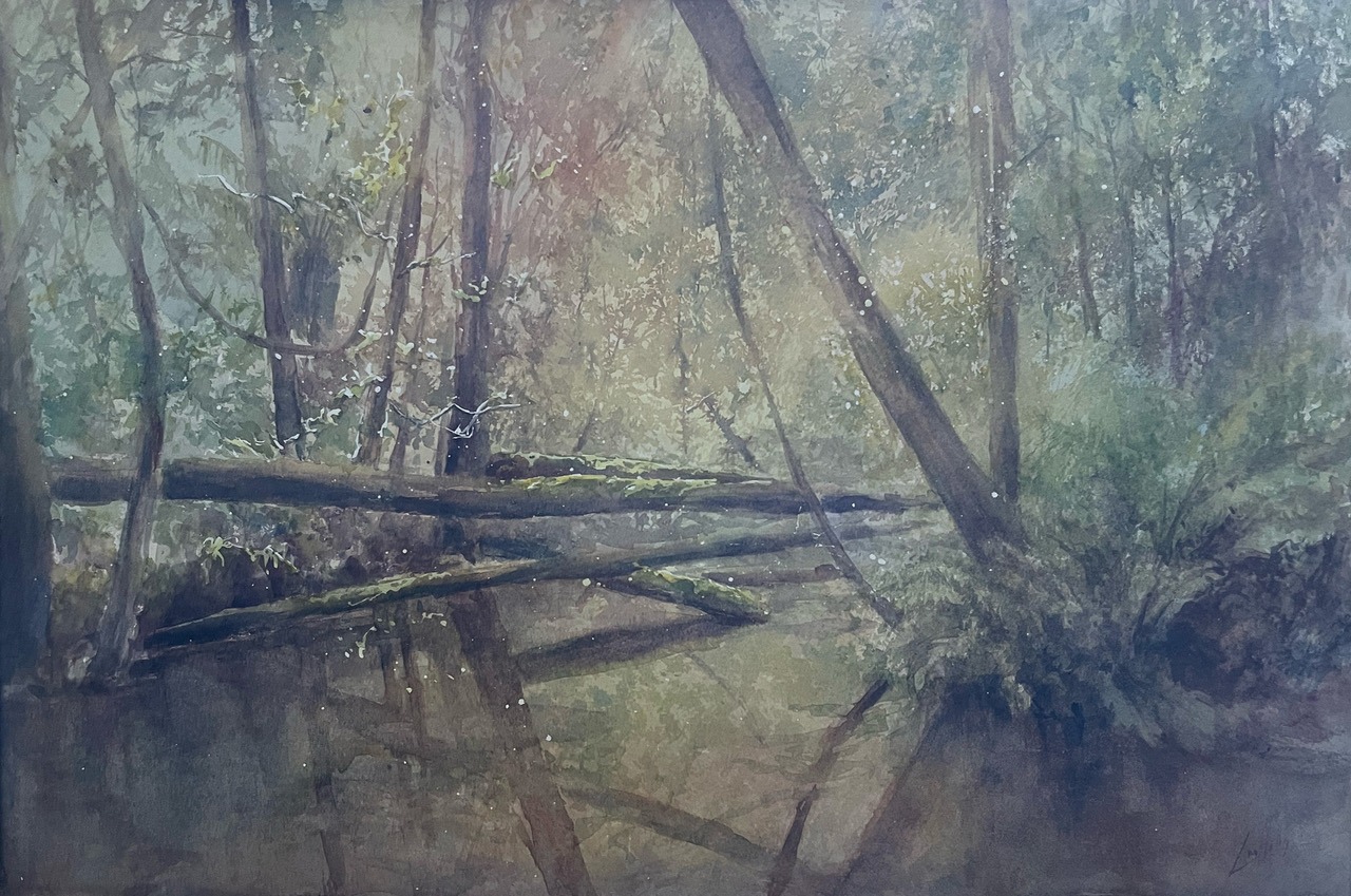 Expressive Landscapes with Leanne Halls Term 4 2026