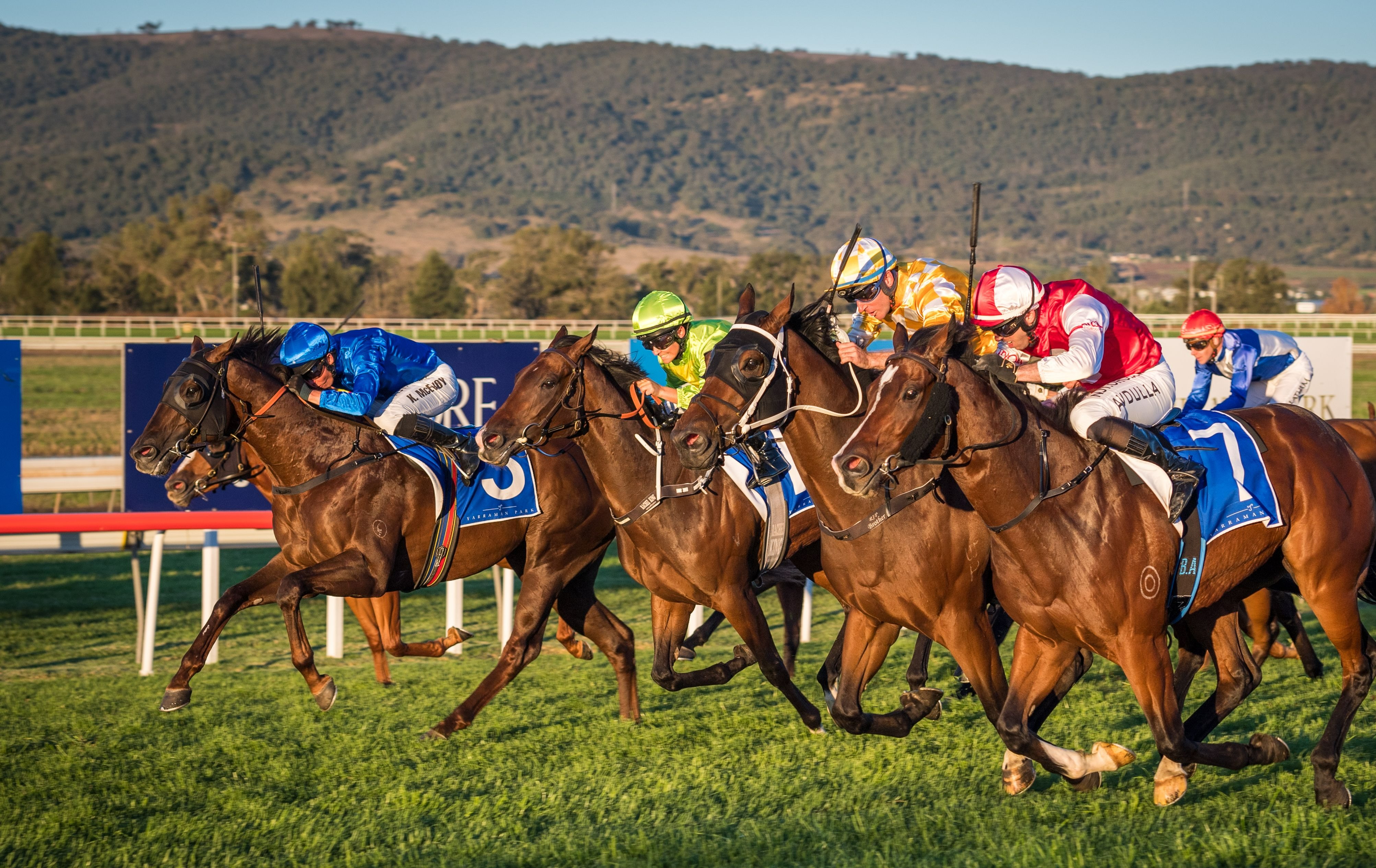 2023 Scone Dark Jewel Race Day Tickets, Scone Race Club, Scone