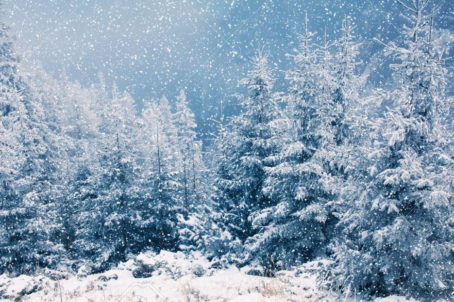 winter-wonderland-jomies-2022-tickets-the-jonesway-theatre-perth