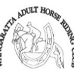 host icon