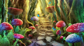 footer_image