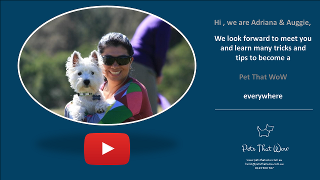 footer_image