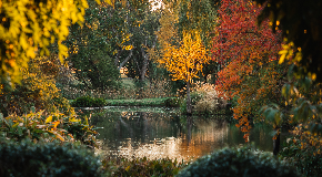 footer_image