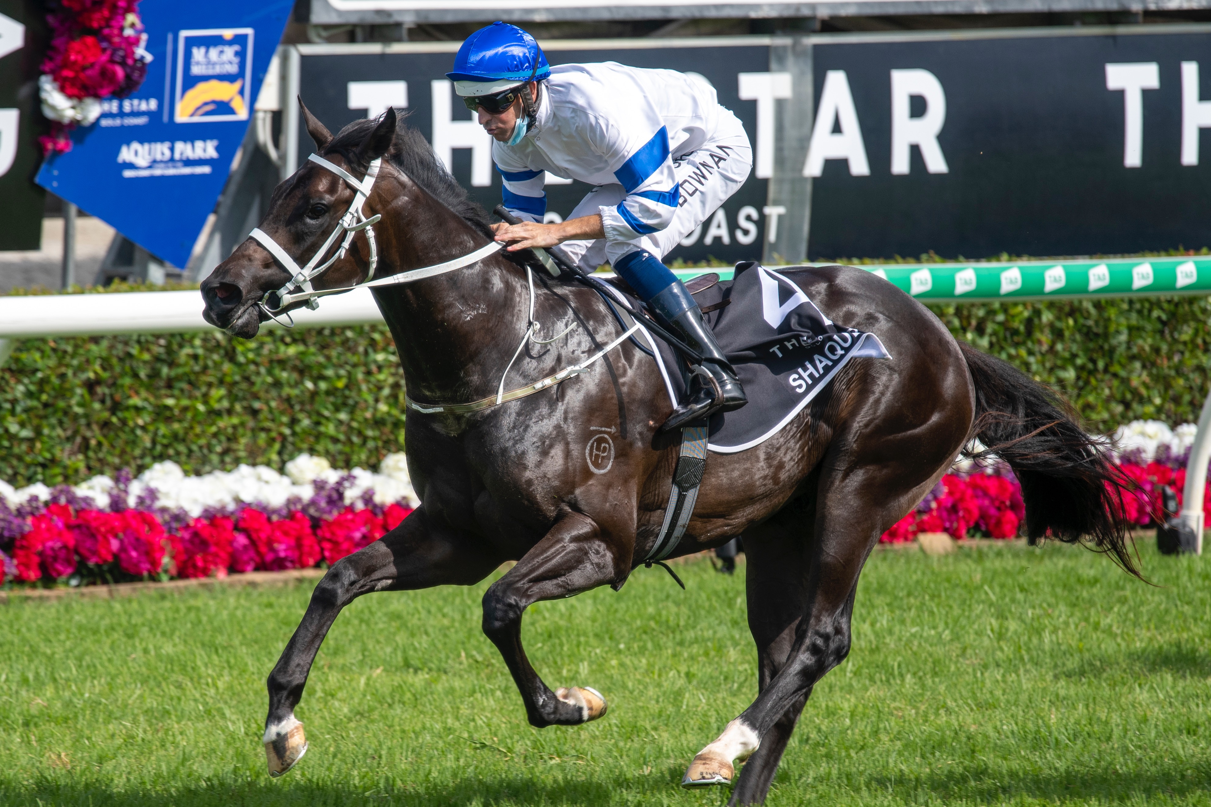 Carbine Club Magic Millions Racing Lunch Tickets The Star Gold Coast Broadbeach Trybooking Australia