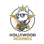 host icon