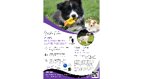 footer_image