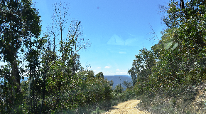footer_image