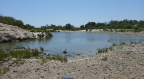 footer_image
