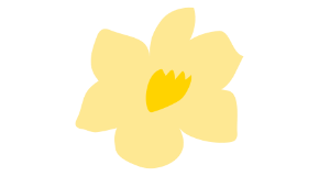 footer_image