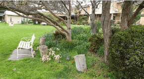 footer_image