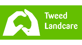 footer_image