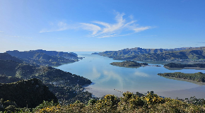 footer_image