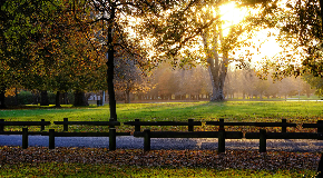 footer_image