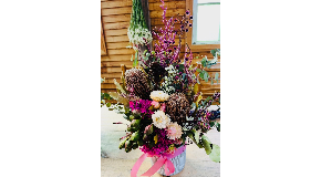 footer_image