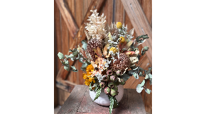 footer_image