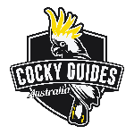host icon