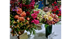 footer_image
