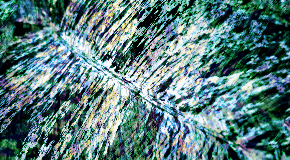 footer_image