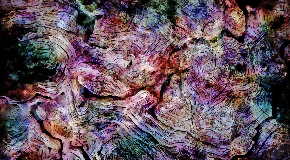 footer_image