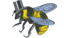footer_image